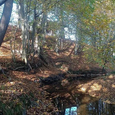 Vikendica Sssuma Vikendica Srbac