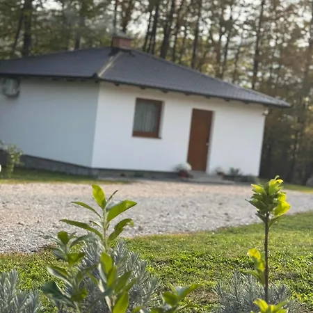 Vikendica Sssuma Holiday home *