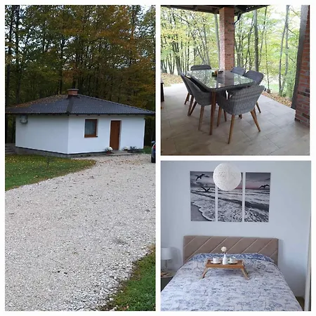Vikendica Sssuma Holiday home