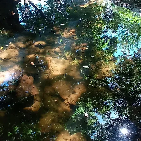 Vikendica Sssuma Vikendica