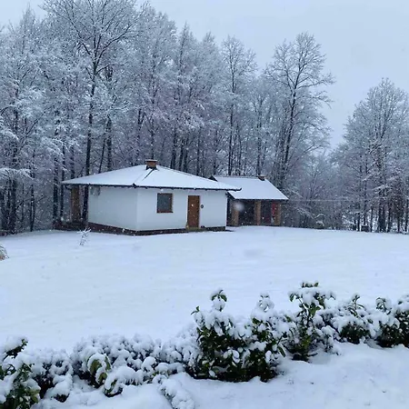 Holiday home Vikendica Sssuma Srbac