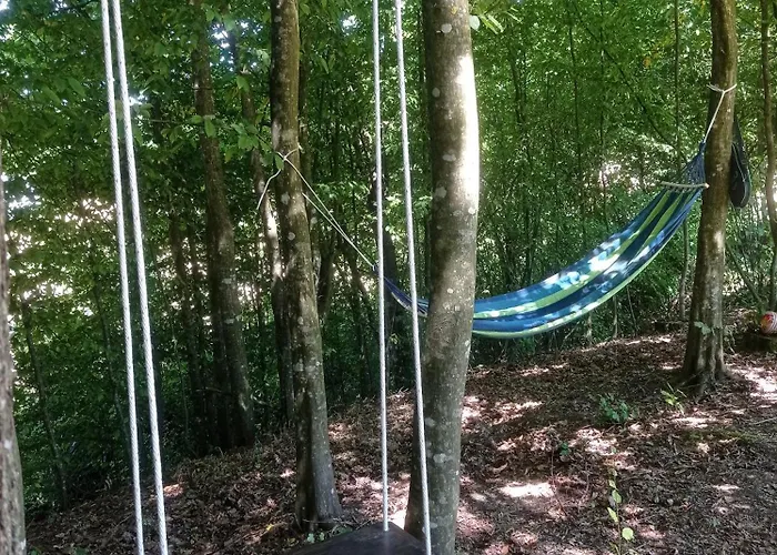 Vikendica Sssuma Vikendica Srbac