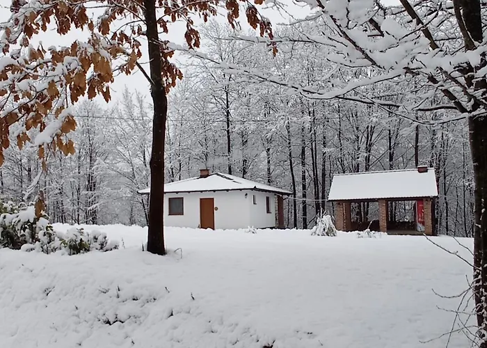 Vikendica Vikendica Sssuma